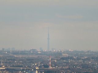 金山から東京スカイツリーを望む風景