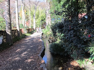 お鷹の道・真姿の池湧水群の風景