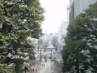 二荒山神社の鳥居越しに宇都宮市街地を望む