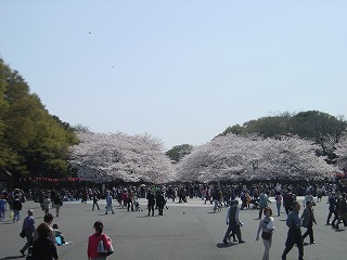 上野恩賜公園