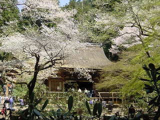 室生寺本堂（灌頂堂）