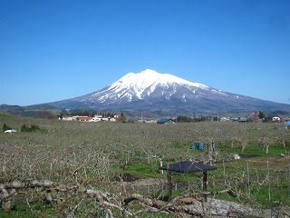 りんご公園から岩木山を望む風景