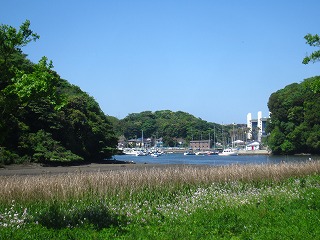 小網代の森から干潟を望む風景