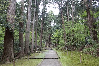 平泉寺白山神社境内の風景