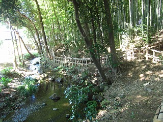 竹林公園、湧水の見える風景