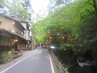 京都・貴船、新緑の風景