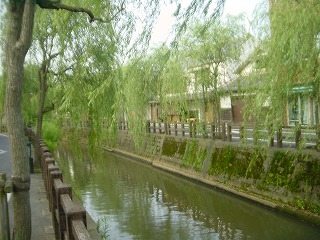 佐原・小野川沿いの風景