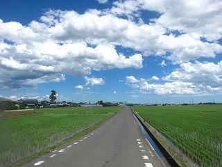 大空と水田の中を進む道の風景