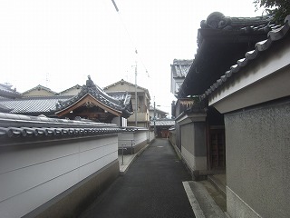 稗田環濠集落の風景