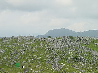 四国カルスト・姫鶴平の風景