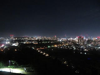 仙台城跡から眺める仙台市街地の夜景