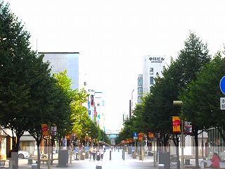 旭川平和通買物公園の風景