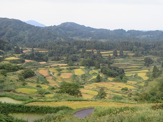 星峠の棚田の風景