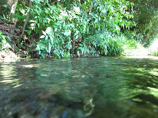 ママ下湧水の清流のある風景