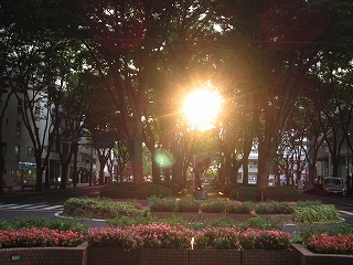 定禅寺通・夕日の沈む風景