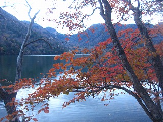 湯ノ湖、紅葉する木々越しの風景