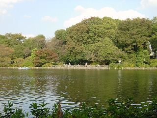 善福寺公園の風景