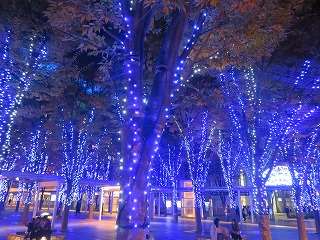 さいたま新都心、けやきひろばのイルミネーションの風景