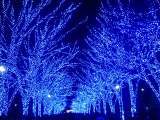 青の洞窟SHIBUYAの風景