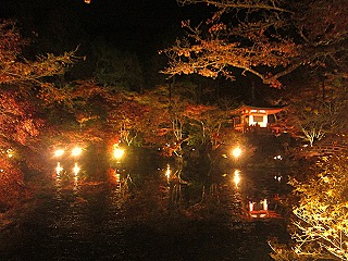 醍醐寺の紅葉、ライトアップされた風景