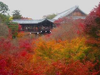 東福寺・通天橋の紅葉の風景