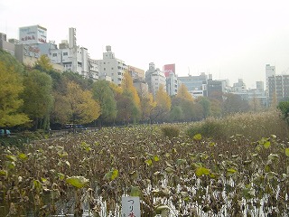 不忍池と上野の町並みの風景