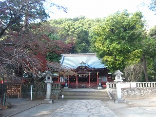 伊豆山神社の風景