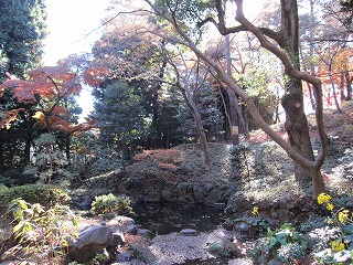 殿ヶ谷戸庭園、初冬の風景