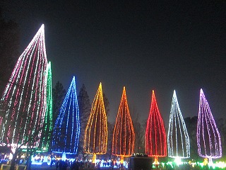 元淵江公園、光の祭典の風景