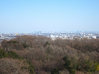 京王百草園から望む都心の風景