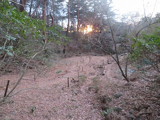 金山・東山ハイキングコースの風景