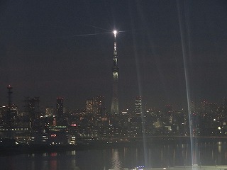 葛西臨海公園から眺めた東京スカイツリーの風景