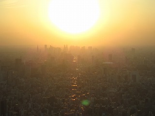 東京スカイツリーから望む都心の夕日の風景