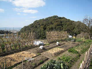 山辺の道、崇神天皇陵を望む風景