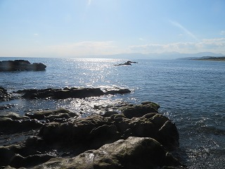 湘南・大磯海岸の風景