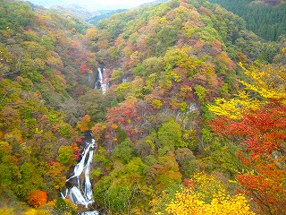 紅葉の霧降滝の風景