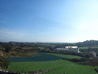 三浦半島、畑の広がる風景